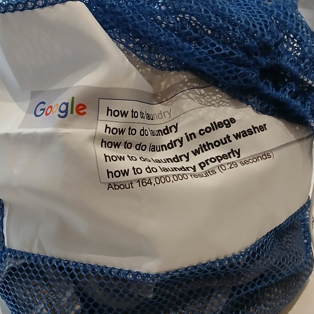 COPY - Google How To Do Laundry Bag  - Large mesh drawstring